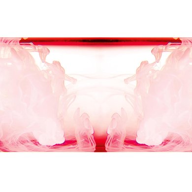 BANNERS PRO XYLANE 6