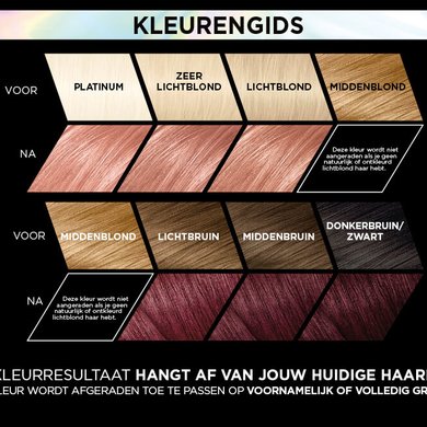 7975899 Preference Vivids Brand Page Visuals ShadeGuide NL 1125x667px