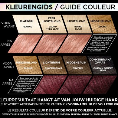 7975899 Preference Vivids Brand Page Visuals ShadeGuide NL FR 1125x667px